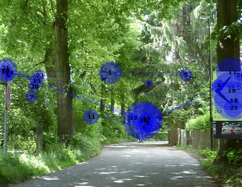 Blickverlauf einer Testperson auf einem Weg mit Beschilderung